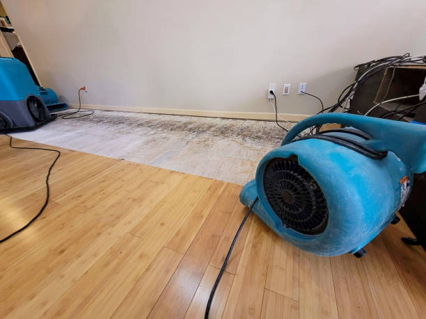 Reliable Crawl Space Water Removal contractor in Justin, TX by Hirex Water Damage