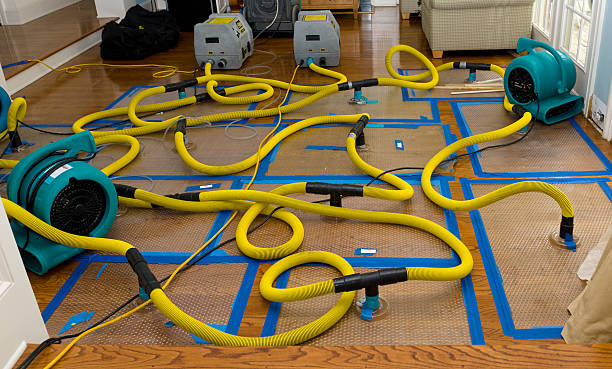 Professional Crawl Space Water Removal technician working in Justin, TX